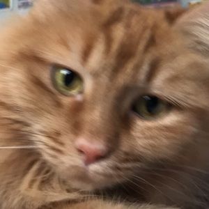 Meet your Posher, Christina